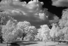 summaron-ir-2.jpg
