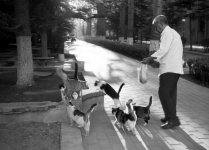 Scan-100914-0004.jpg