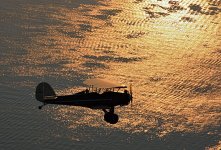 0283 email small.jpg