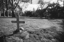 grave-1.jpg