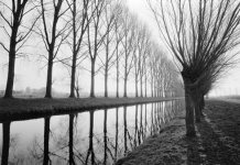 Niederrhein-Stand-One-Web-P.jpg