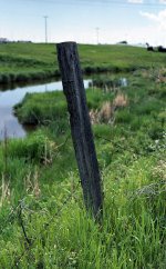 Rollei test June 2007 img025a.jpg