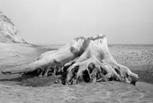Kodak_Mar13_FP4_008.jpg
