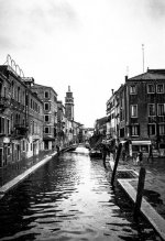 Venice Street (1 of 1).jpg