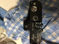 IMG_1025.jpg