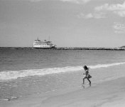 Summicron.jpg