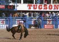 Bucking-I - cropped.JPG