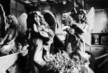 Palm Fire Angels 1.jpg