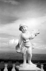 angel.jpg