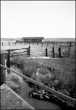 031006-BW01.jpg