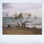 minolta_pro_6.jpg