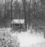 Playhouse2.jpg