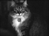 031116-40big.jpg