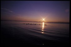 Bolsena.jpg