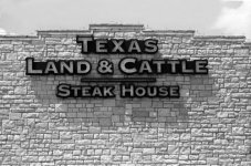 ektar 100 8 min caffenol 3.jpg