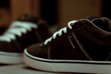 20081119-IMG_1239.jpg