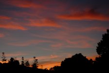 DSC_0007.JPG