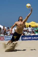 AVP11852.jpg