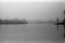 Summergrove Lake 4 rff.jpg