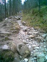 Image010.jpg