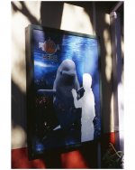 seaworld-1.jpg