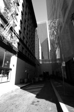 L1000078.jpg