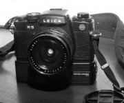 L1110001.jpg