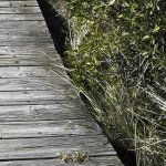beach boardwalk det mr.jpg