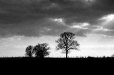 1000 iso_20170111_0021.jpg