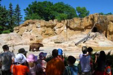grizzly-DSC_4155.jpg