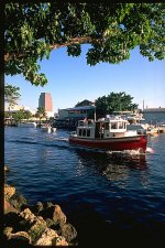 IMG0014-2.jpg