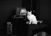 Untitled-Scanned-22.jpg