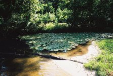 828507-R1-E036.jpg
