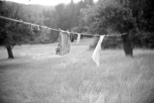Laundry.jpg