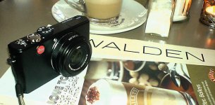 d-lux-3 walden ffm.jpg