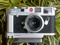 M6plus28mmRicohFront.jpg