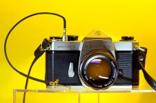 aki blue on spotm.jpg