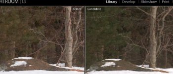 rd-1-m8-noise copy.jpg