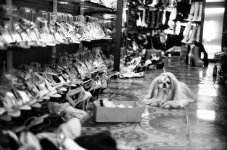 dog in shoe shop, phuket.jpg