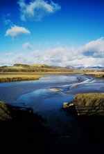 Estuary.jpg