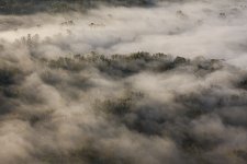 ground fog email.jpg