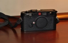 DSC_0336.jpg