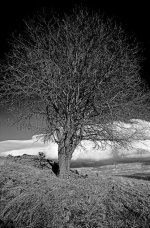 Scan-101225-0031.jpg