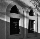 windows1-bw.jpg