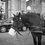 rollei3.jpg