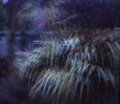 762 Rollei Provia X 02 - web.jpg