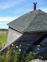 trip to farm, July 2011 004 (Medium).jpg