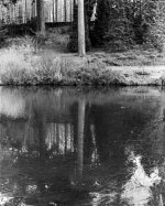 rodinol 1+25 630_20170129_0006.jpg