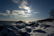 Cold Sun.jpg