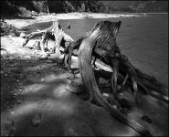 030815-01big.jpg